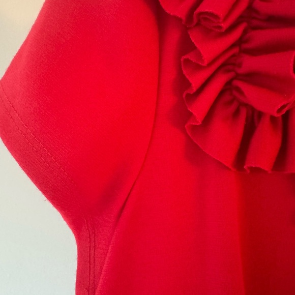 Tiana B. Vibrant Red Dress with Ruffle Detail- US Large - Picture 5 of 11